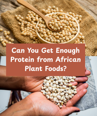 AFRICAN FOOD ENOUH PROTEIN